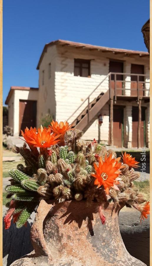El Sol Hostel De Humahuaca Kültér fotó